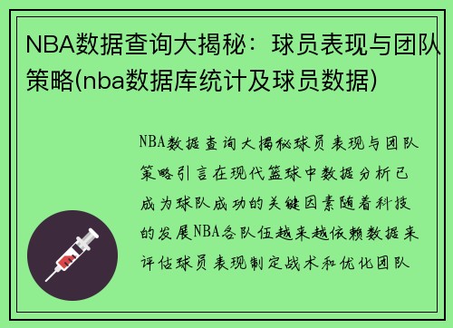 NBA数据查询大揭秘：球员表现与团队策略(nba数据库统计及球员数据)