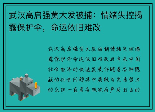 武汉高启强黄大发被捕：情绪失控揭露保护伞，命运依旧难改