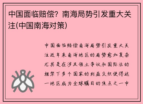 中国面临赔偿？南海局势引发重大关注(中国南海对策)