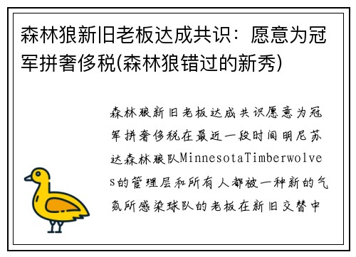 森林狼新旧老板达成共识：愿意为冠军拼奢侈税(森林狼错过的新秀)